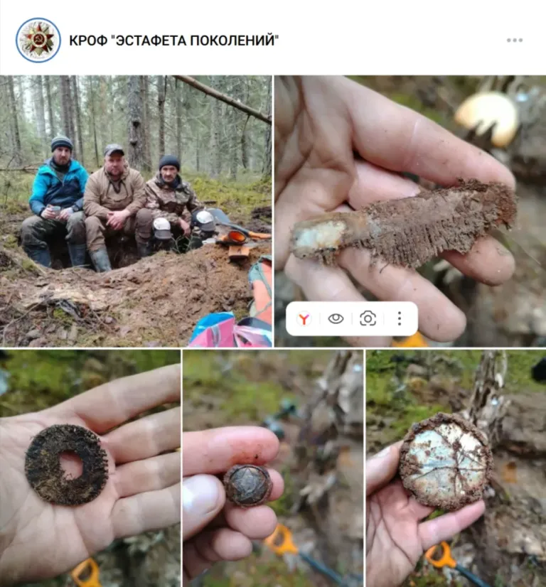 В Пряжинском районе нашли останки трёх красноармейцев