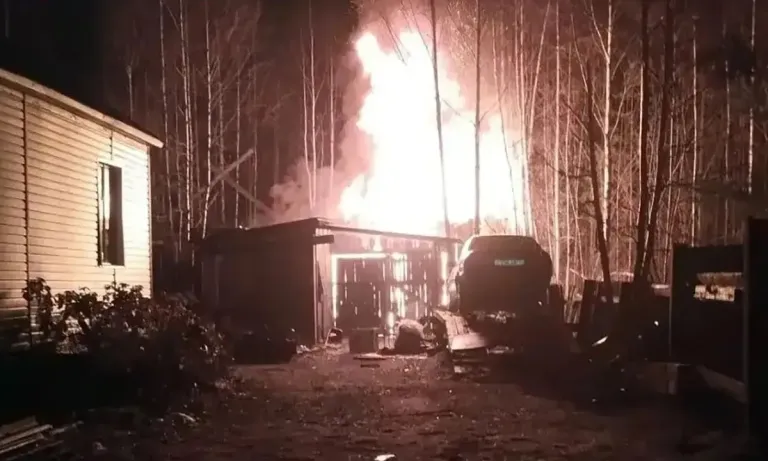 В Шальском пожарные не дали взорваться газовому баллону в гараже