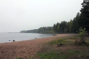 В Петрозаводске благоустраивают парк Каменный ручей