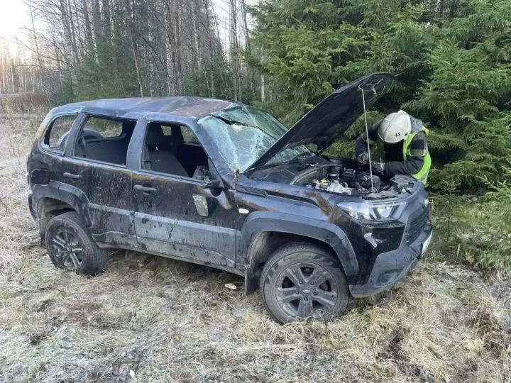 В Пряжинском районе Карелии в ДТП на скользкой дороге пострадал человек