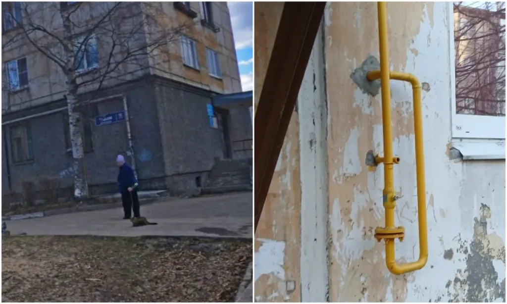 В Петрозаводске управляющую компанию наказали за отключение газа