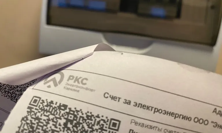 Многодетным семьям Карелии сохранили льготный тариф на электроэнергию