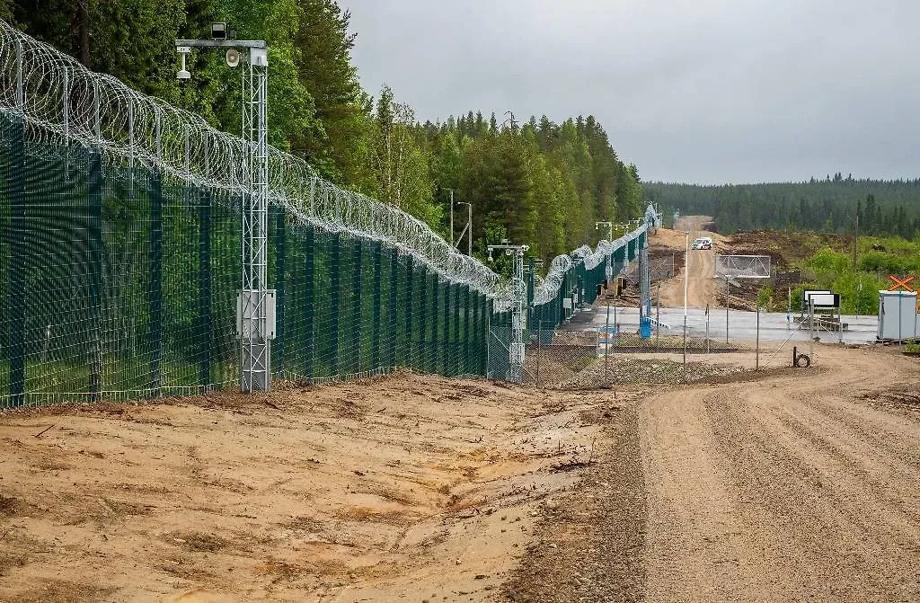 Финский забор на границе с Россией повреждён деревьями и животными