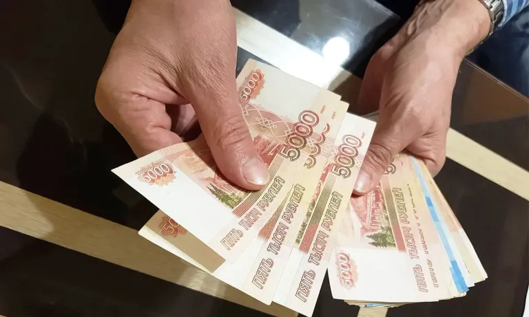 В Карелии приставы взыскали алименты, ограничив права самозанятого